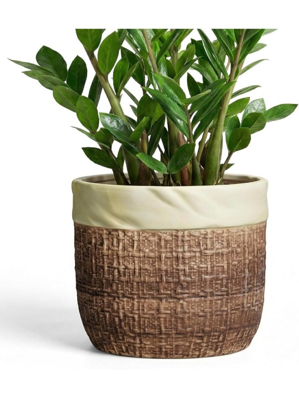 Boho Ceramic Planter 9.8" - Indoor/Outdoor Pot with Drainage, Garden Decor